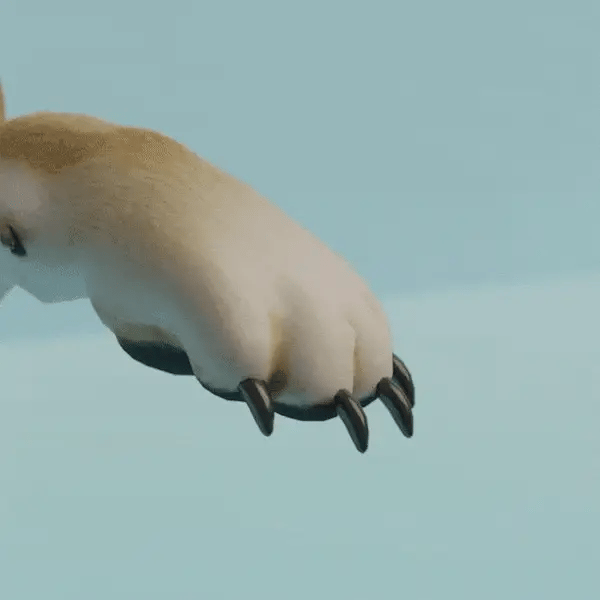 Pet Nail Grinder